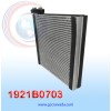 EVAPORADOR MAZDA 3 AÑO 10/13 R-134-A 22.7X24.5X4.4CM NEVADA ASIA