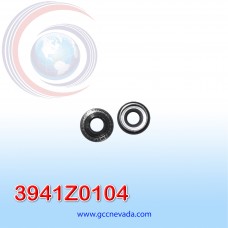 SELLO COMPRESOR 709 / CHRYSLER VOYAGER /  10S17 / SELTEC NEVADA ASIA